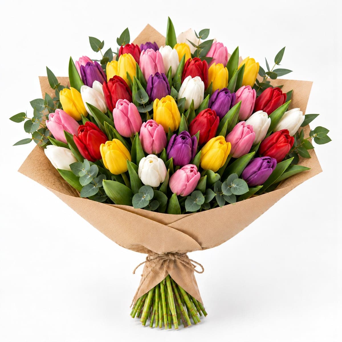 Tulipánová radost